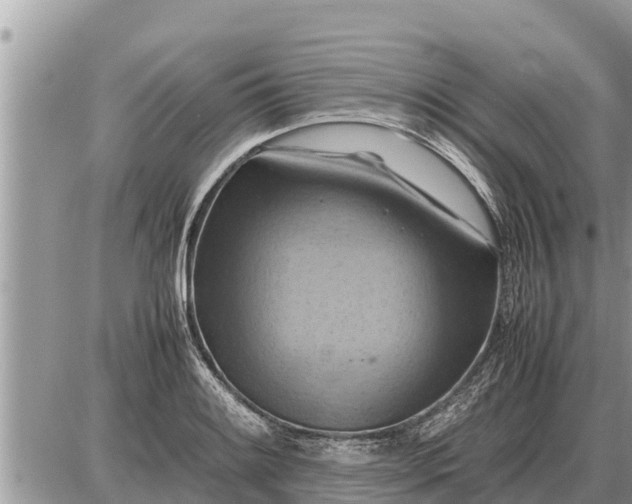 X0000087401084200705042029