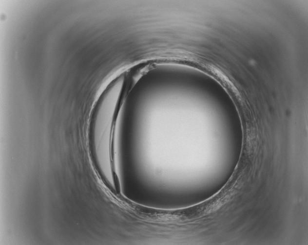 X0000087401085200705042029