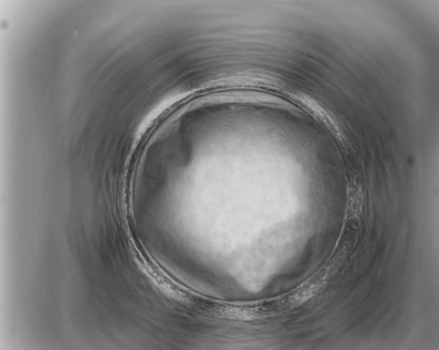 X0000087401086200705042029