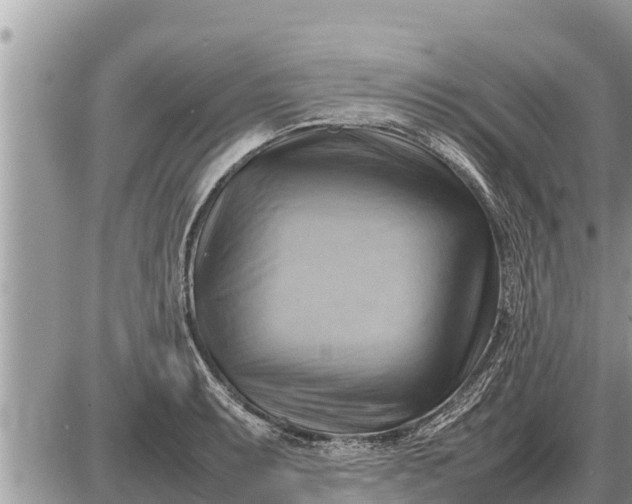 X0000087401087200705042029