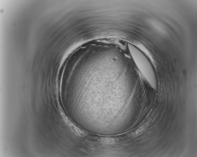 X0000087401088200705042029