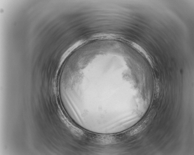 X0000087401090200705042029