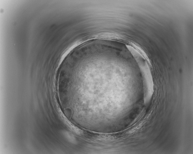 X0000087401091200705042029