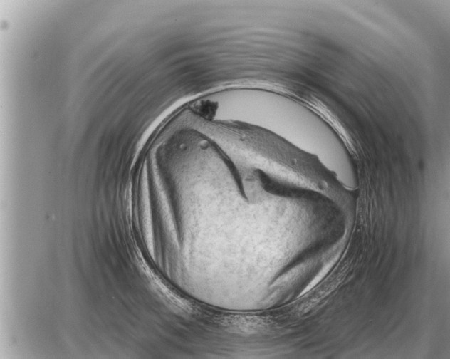 X0000087401092200705042029