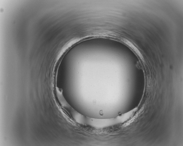 X0000087401093200705042029