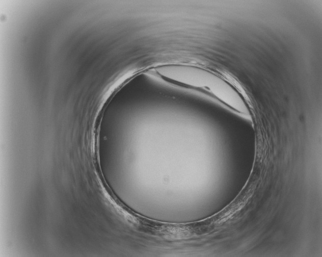 X0000087401095200705042029