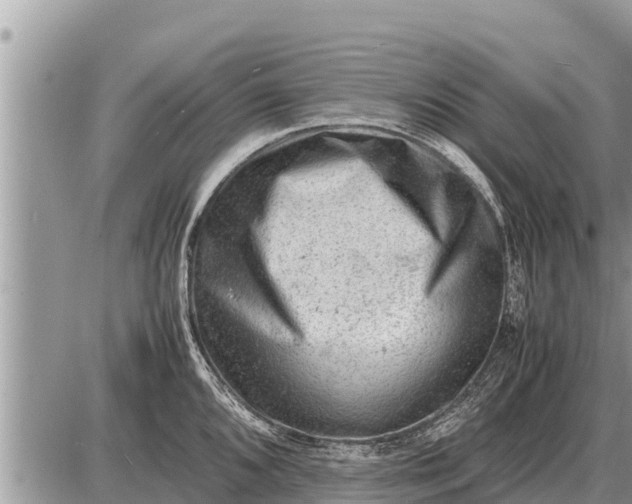 X0000087401096200705042029