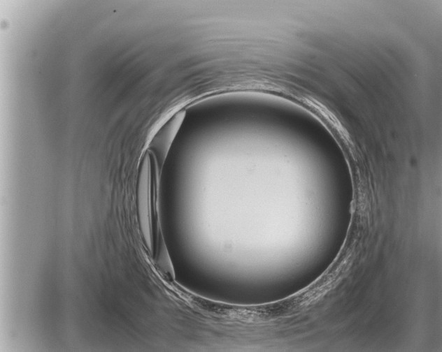 X0000087401097200705042029