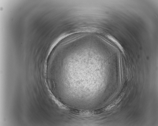 X0000087401099200705042029