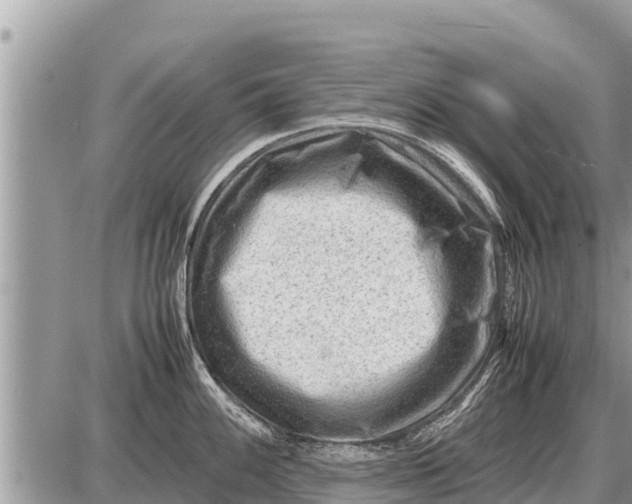 X0000087401100200705042029