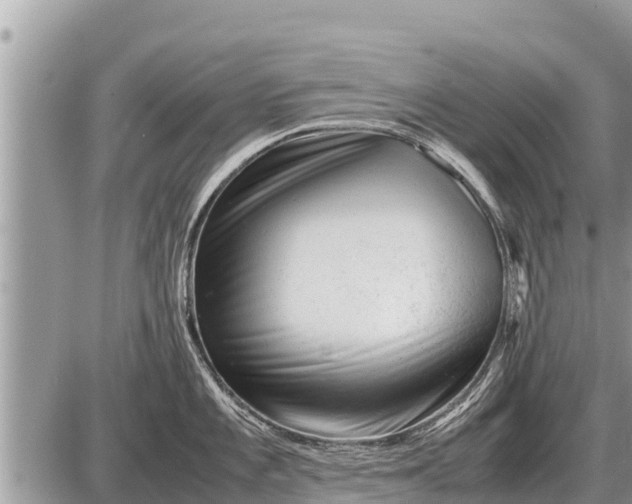 X0000087401101200705042029