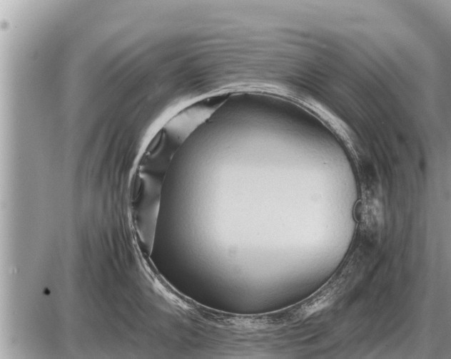 X0000087401102200705042029