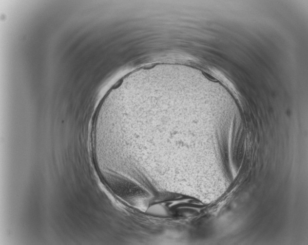 X0000087401103200705042029