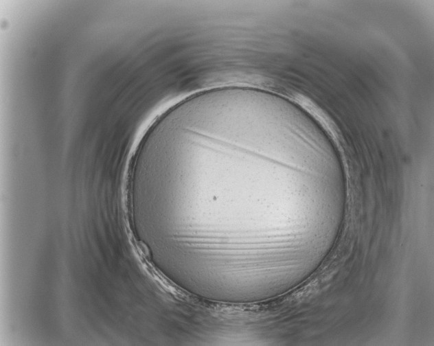 X0000087401104200705042029