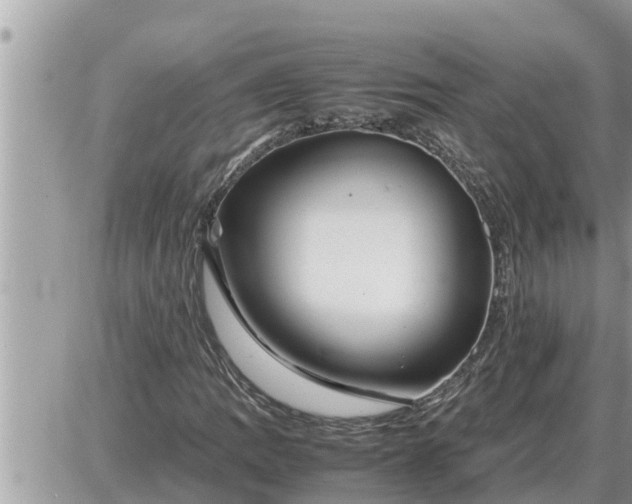 X0000087401109200705042028