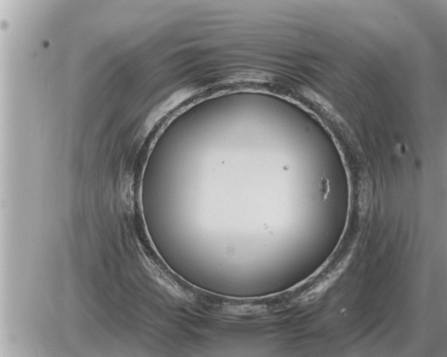 X0000087401113200705042028