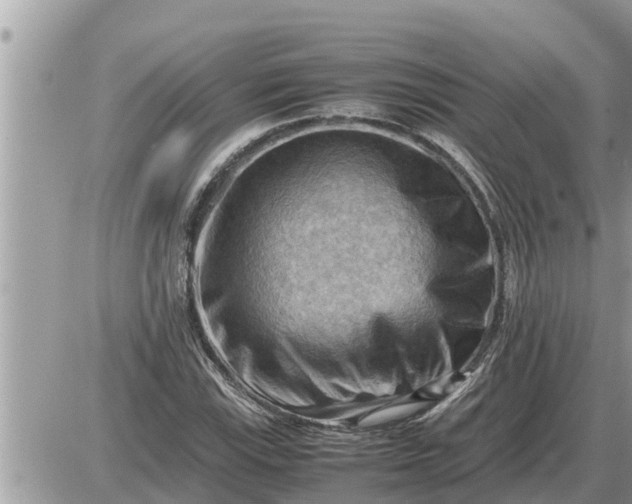 X0000087401115200705042028