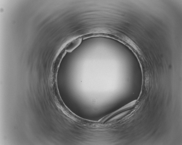 X0000087401116200705042028