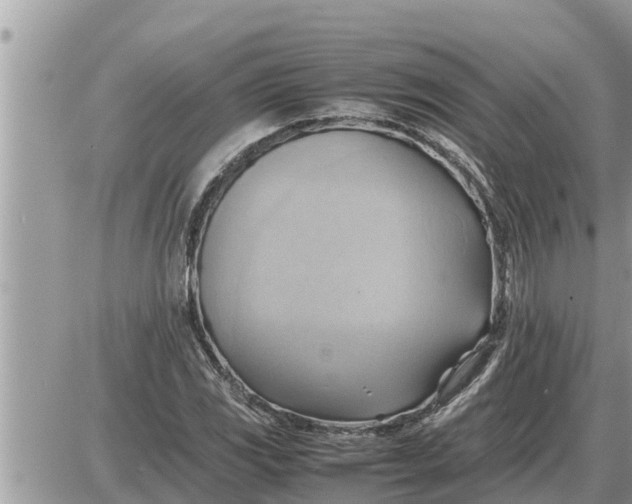 X0000087401117200705042028