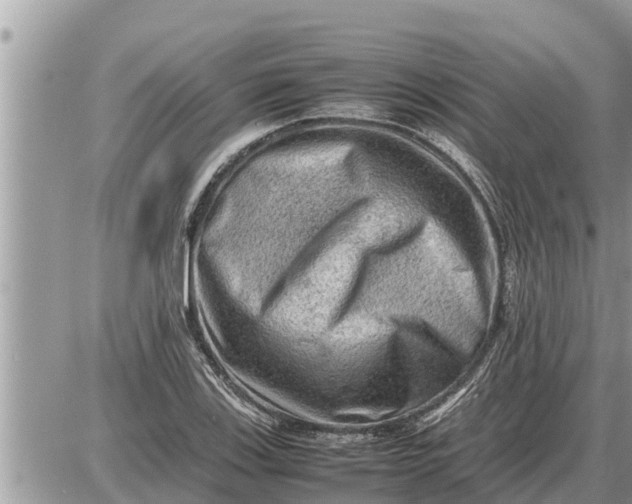 X0000087401123200705042028