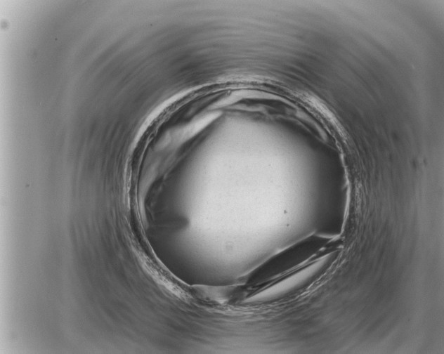 X0000087401124200705042029