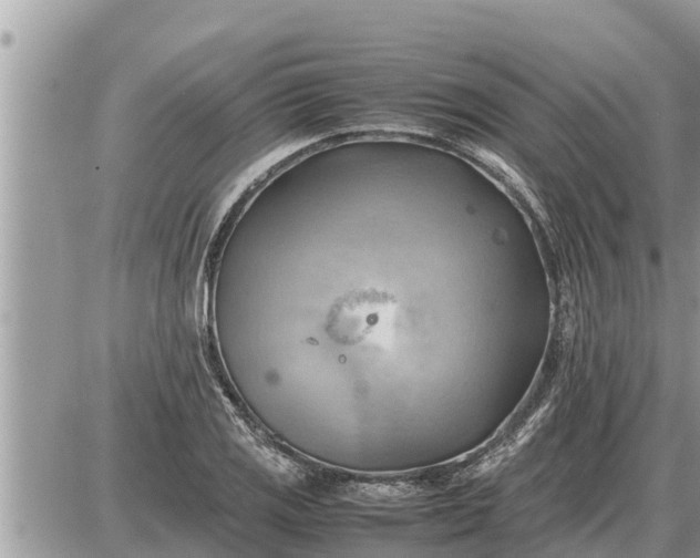 X0000087401125200705042029