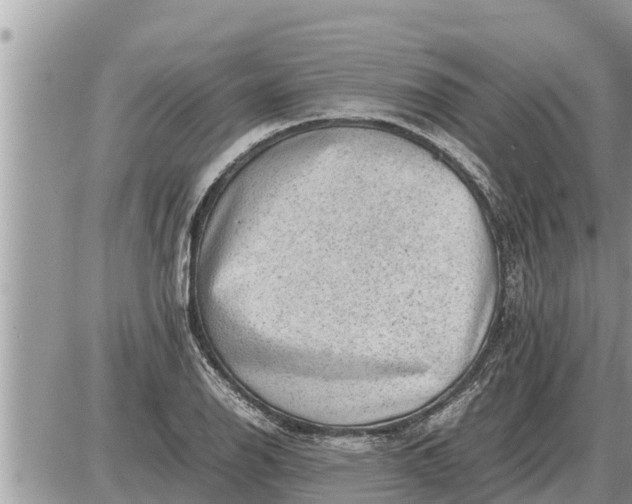 X0000087401126200705042029