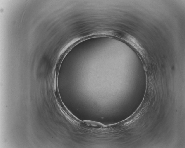 X0000087401127200705042029