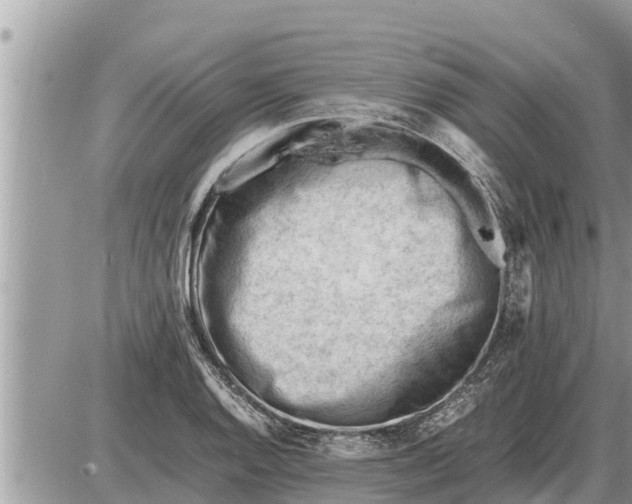 X0000087401128200705042029