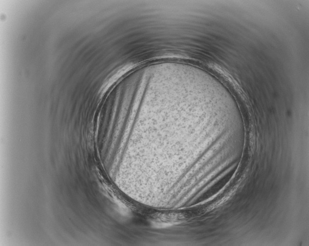 X0000087401129200705042029