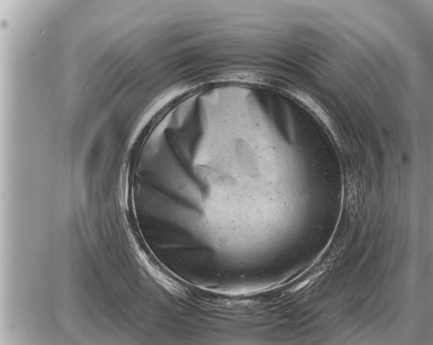 X0000087401131200705042029