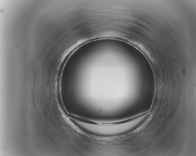 X0000087401134200705042029