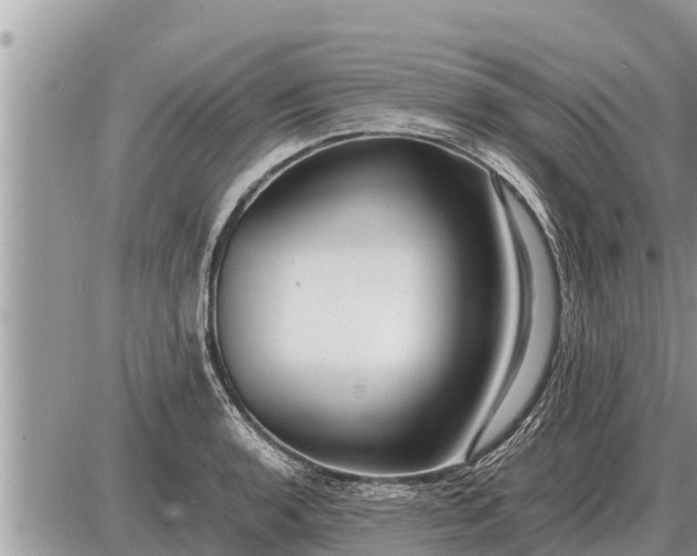 X0000087401136200705042029