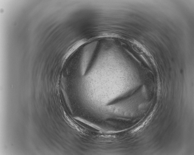 X0000087401137200705042029