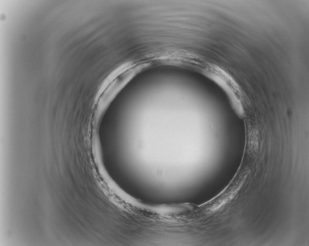 X0000087401138200705042029