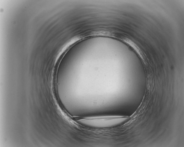 X0000087401139200705042029