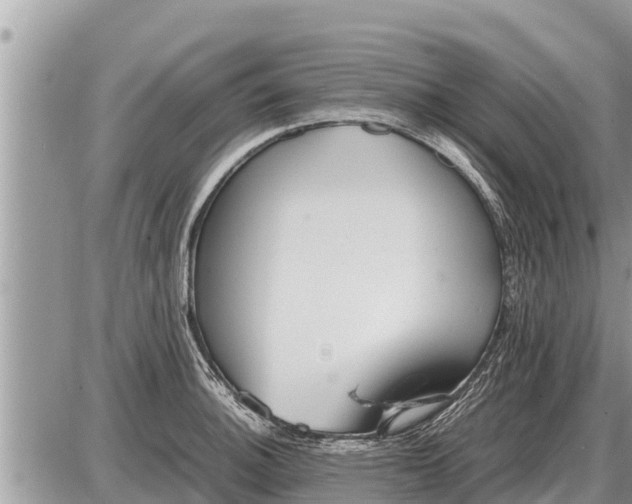 X0000087401140200705042029