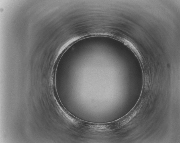 X0000087401141200705042029