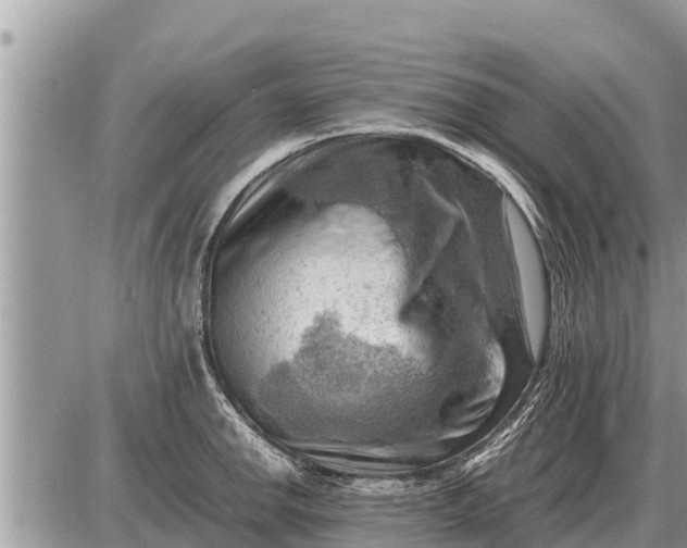 X0000087401142200705042029