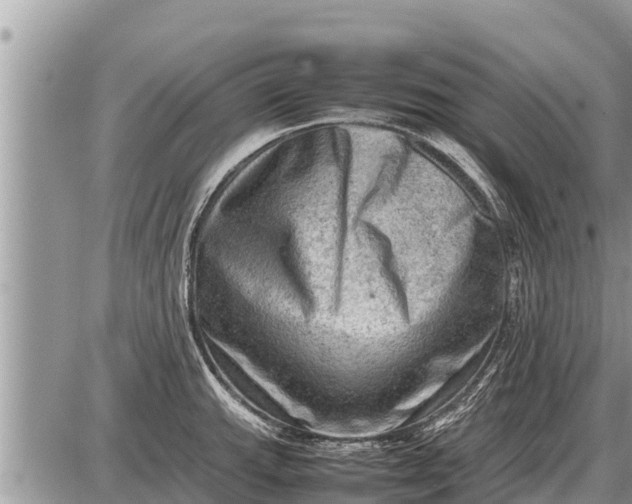 X0000087401143200705042029