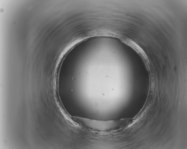 X0000087401144200705042029