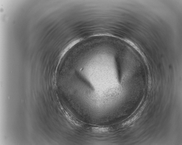 X0000087401145200705042029