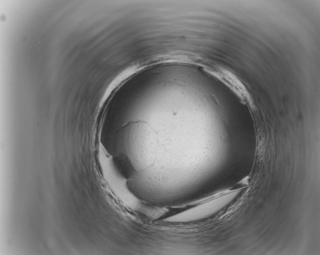 X0000087401146200705042029