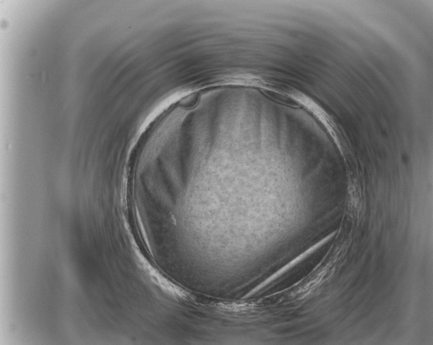 X0000087401147200705042029