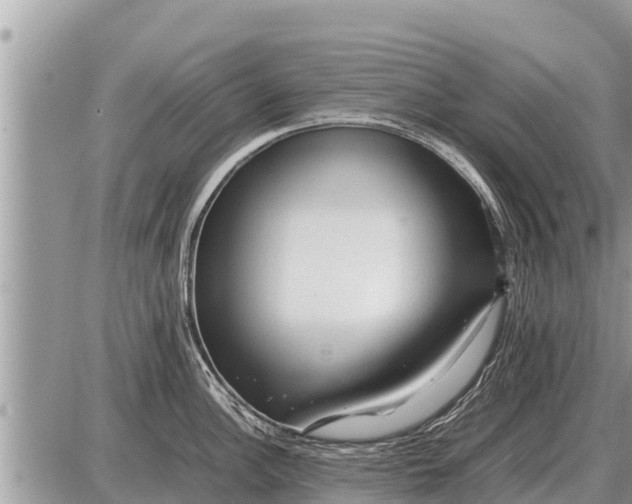 X0000087401148200705042029