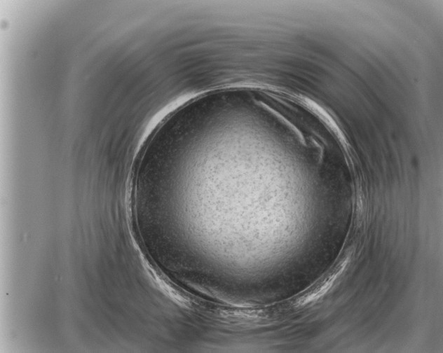 X0000087401149200705042029