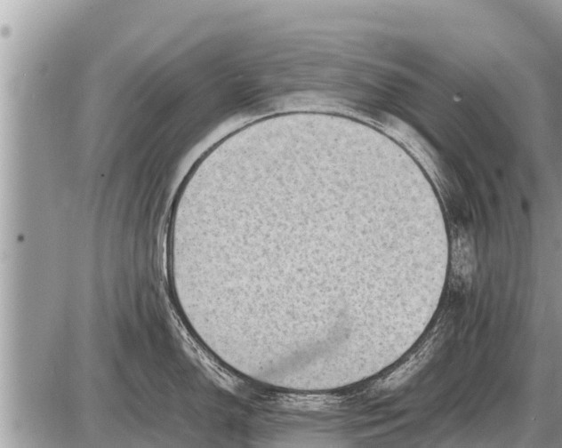 X0000087401150200705042029