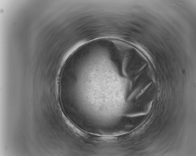 X0000087401151200705042029