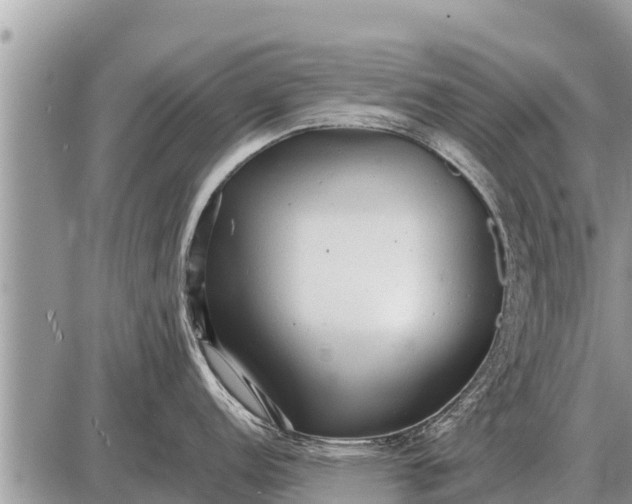 X0000087401152200705042029