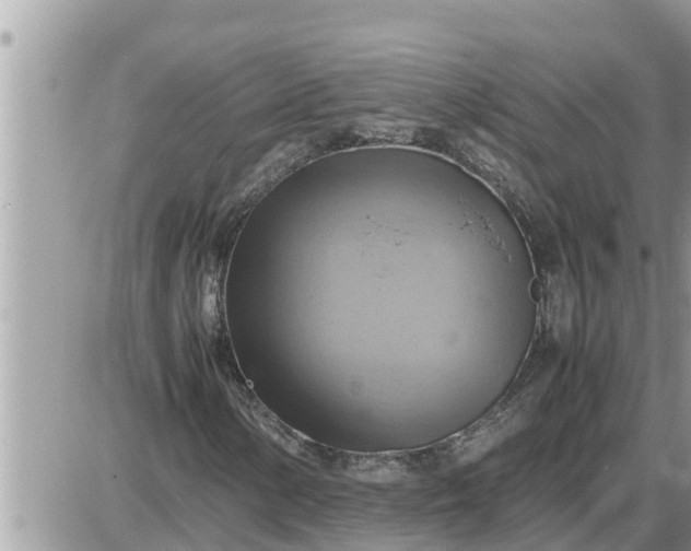 X0000087401154200705042028